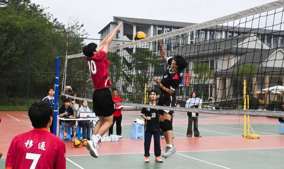 24-19：在创新与传承中寻找完满乐趣j9九游真人游戏第一平台完满周报 20(图4)