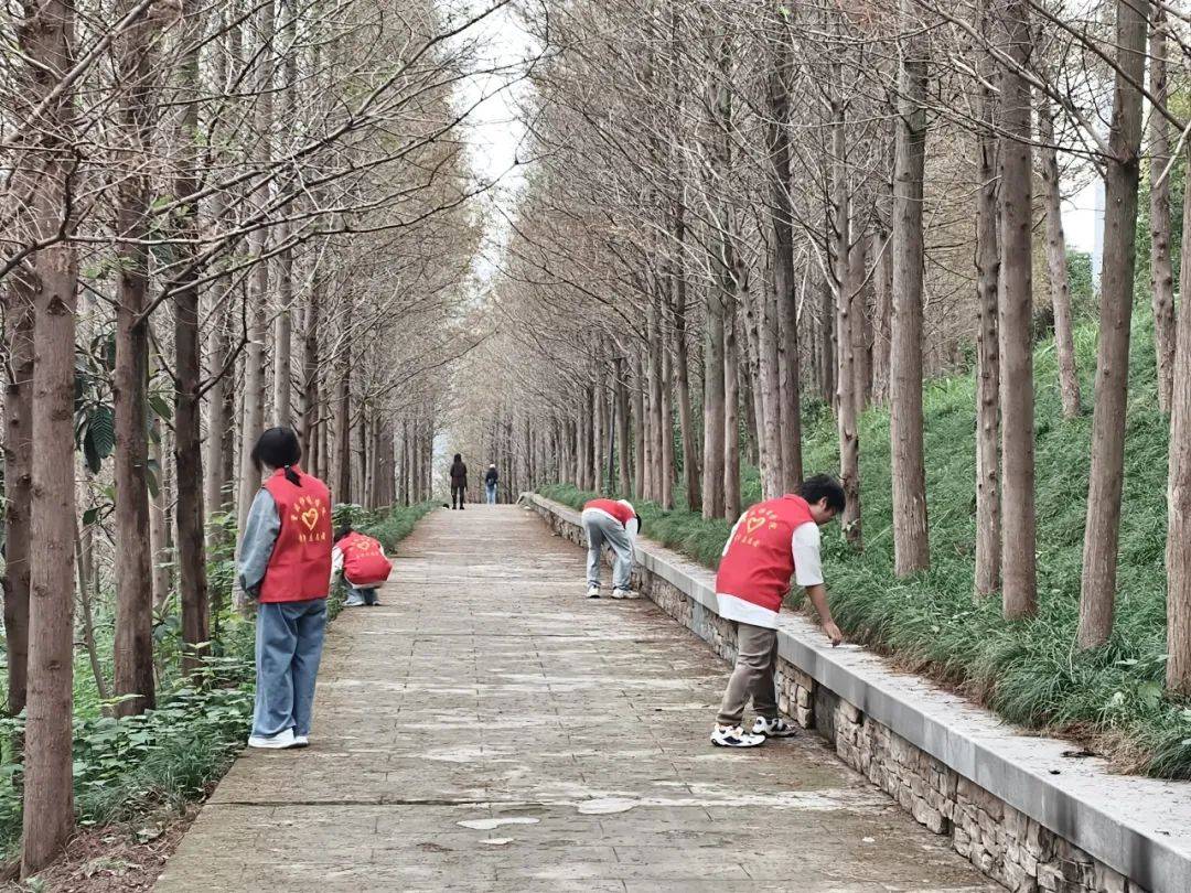 24-19：在创新与传承中寻找完满乐趣j9九游真人游戏第一平台完满周报 20