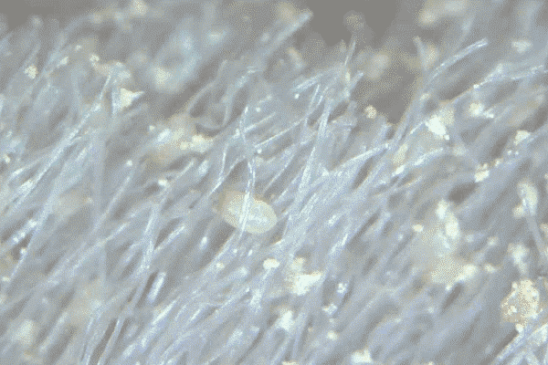 技眼罩缓疲劳、助睡眠让你舒服到上瘾！九游会真人游戏第一品牌零差评的黑科(图4)